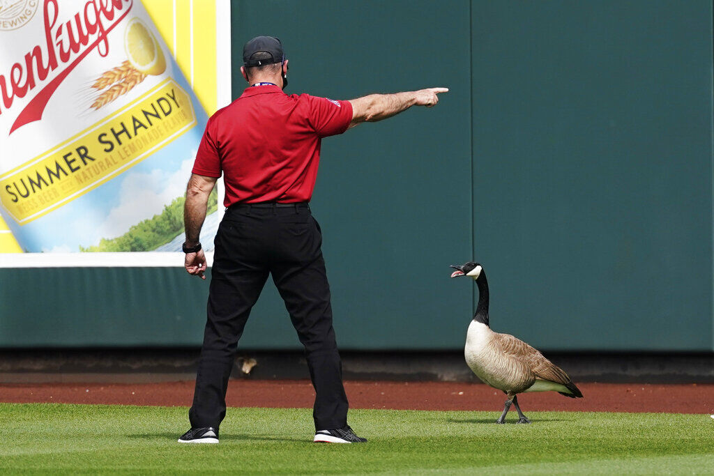 Spring Training Photo Gallery Baseball